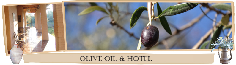 Olive Oil